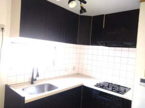 京都市伏見区羽束師菱川町、中古一戸建ての画像です