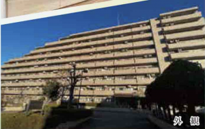 朝霞市岡、マンションの画像です