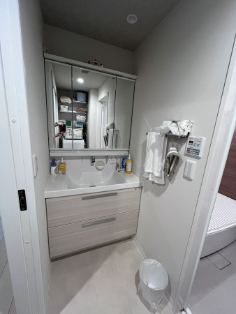 川口市青木、マンションの洗面画像です