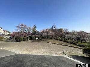 池田市鉢塚、マンションの画像です