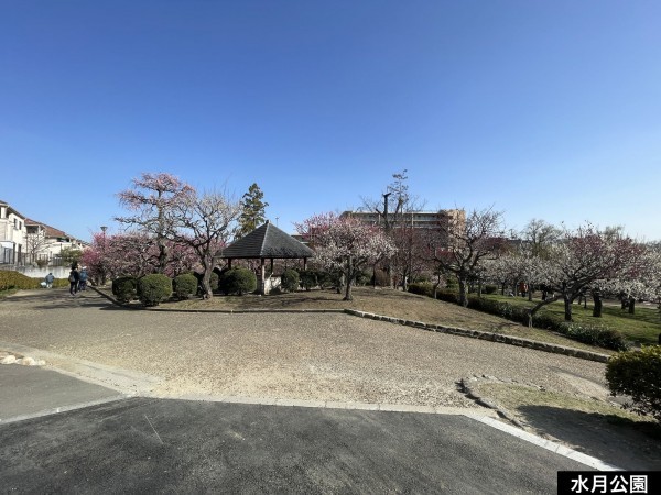 池田市鉢塚、マンションの画像です
