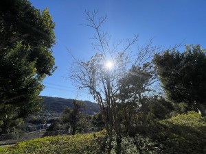 池田市伏尾台、マンションの画像です