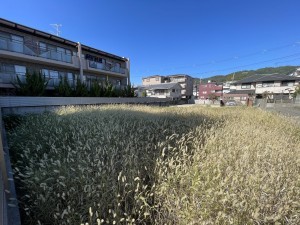 池田市上池田、土地の画像です