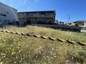 池田市上池田、土地の画像です