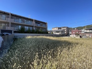 池田市上池田、土地の画像です