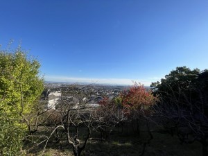 池田市畑、マンションの画像です