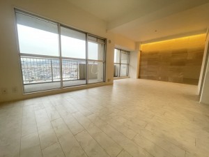 池田市呉服町、マンションの画像です