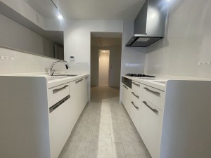 池田市呉服町、マンションの画像です