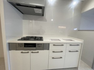 池田市呉服町、マンションの画像です