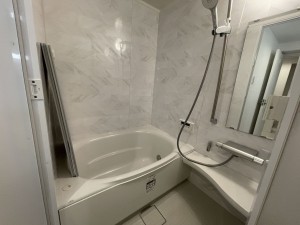 池田市呉服町、マンションの画像です