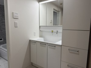 池田市井口堂、マンションの画像です