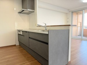 池田市井口堂、マンションの画像です