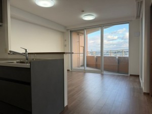 池田市井口堂、マンションの画像です