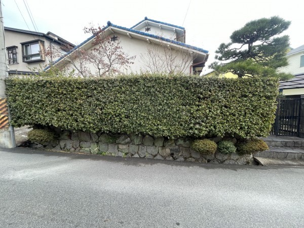 池田市渋谷、土地の画像です