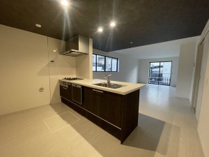 池田市旭丘、新築一戸建ての画像です