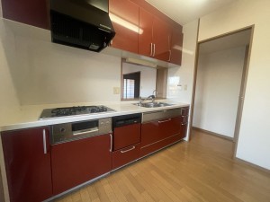 池田市大和町、マンションの画像です