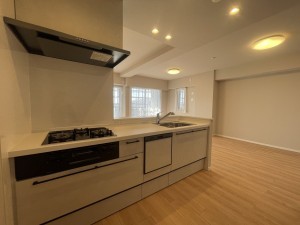 池田市呉服町、マンションの画像です