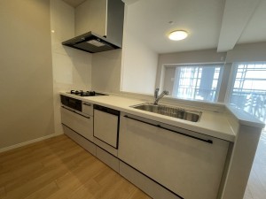 池田市呉服町、マンションの画像です