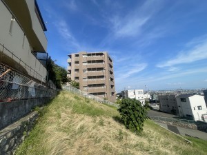 池田市畑、土地の画像です