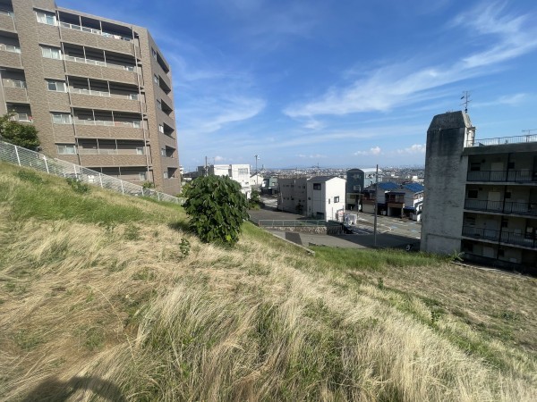 池田市畑、土地の画像です