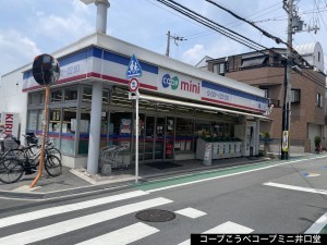 池田市井口堂、マンションの画像です