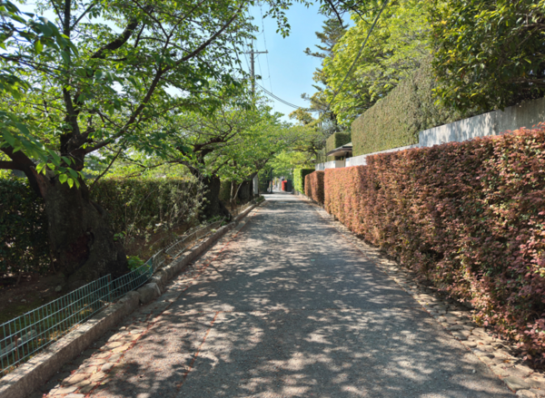 川西市寺畑、マンションの画像です