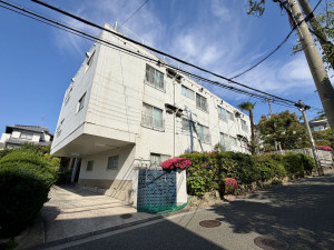 宝塚市雲雀丘、マンションの画像です