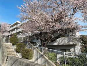 宝塚市雲雀丘山手、マンションの画像です