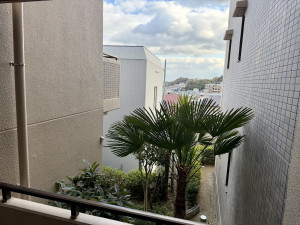川西市寺畑、マンションの画像です