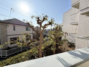 池田市畑、マンションの画像です