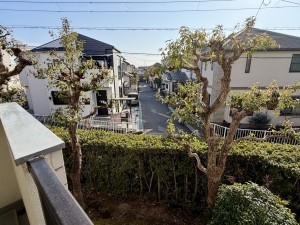 池田市畑、マンションの画像です