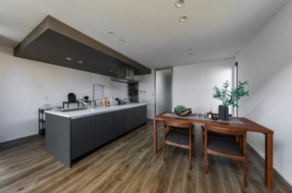 宝塚市雲雀丘、新築一戸建ての画像です