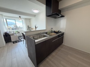 池田市建石町、マンションの画像です