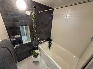 池田市建石町、マンションの画像です