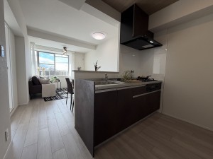 池田市建石町、マンションの画像です