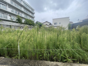 池田市井口堂、土地の画像です