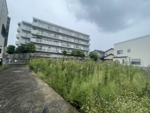 池田市井口堂、土地の画像です