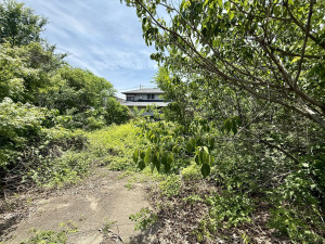 池田市神田、土地の画像です