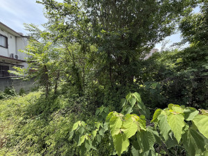 池田市神田、土地の画像です