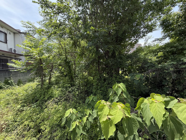 池田市神田、土地の画像です
