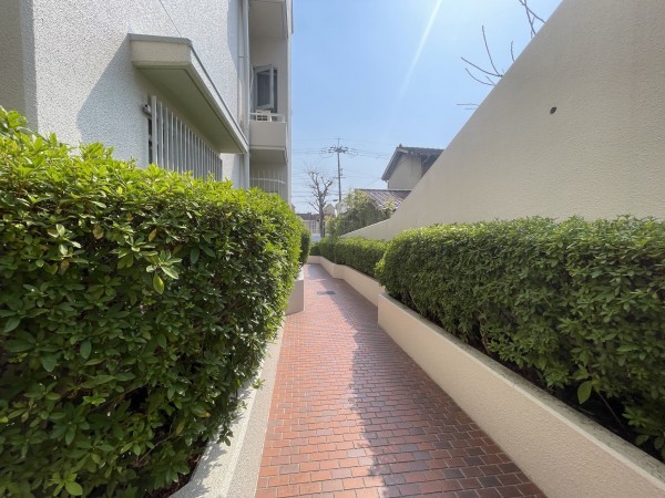 池田市五月丘、マンションの画像です