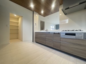 池田市緑丘、新築一戸建ての画像です