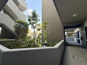 池田市井口堂、マンションの画像です