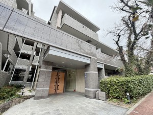 宝塚市雲雀丘、マンションの画像です