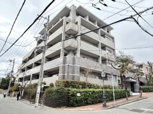 宝塚市雲雀丘、マンションの画像です