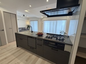 宝塚市雲雀丘、マンションの画像です