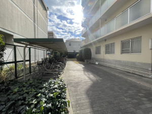 池田市住吉、マンションの画像です