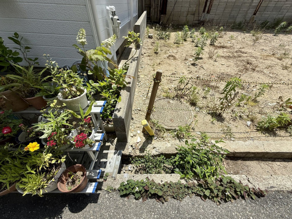 池田市桃園、土地の画像です