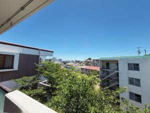 宝塚市花屋敷荘園、マンションの画像です
