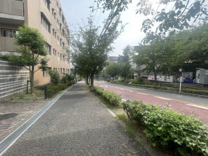 池田市五月丘、マンションの画像です